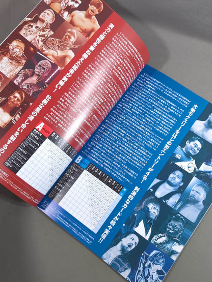 G1 CLIMAX 29 / G1クライマックス29