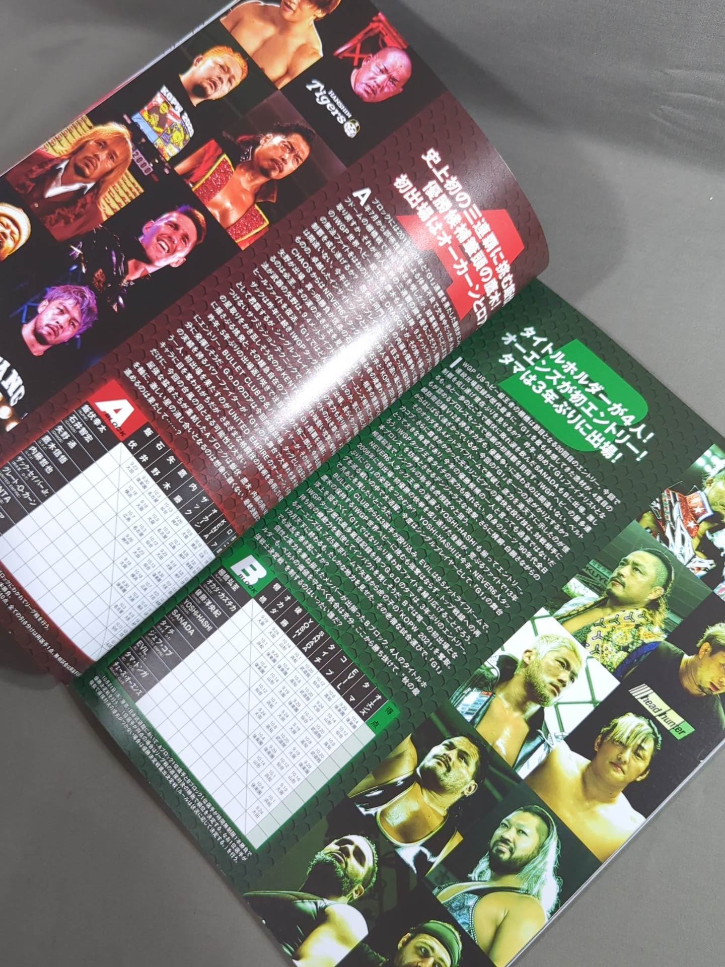 G1 CLIMAX 31 / G1クライマックス31