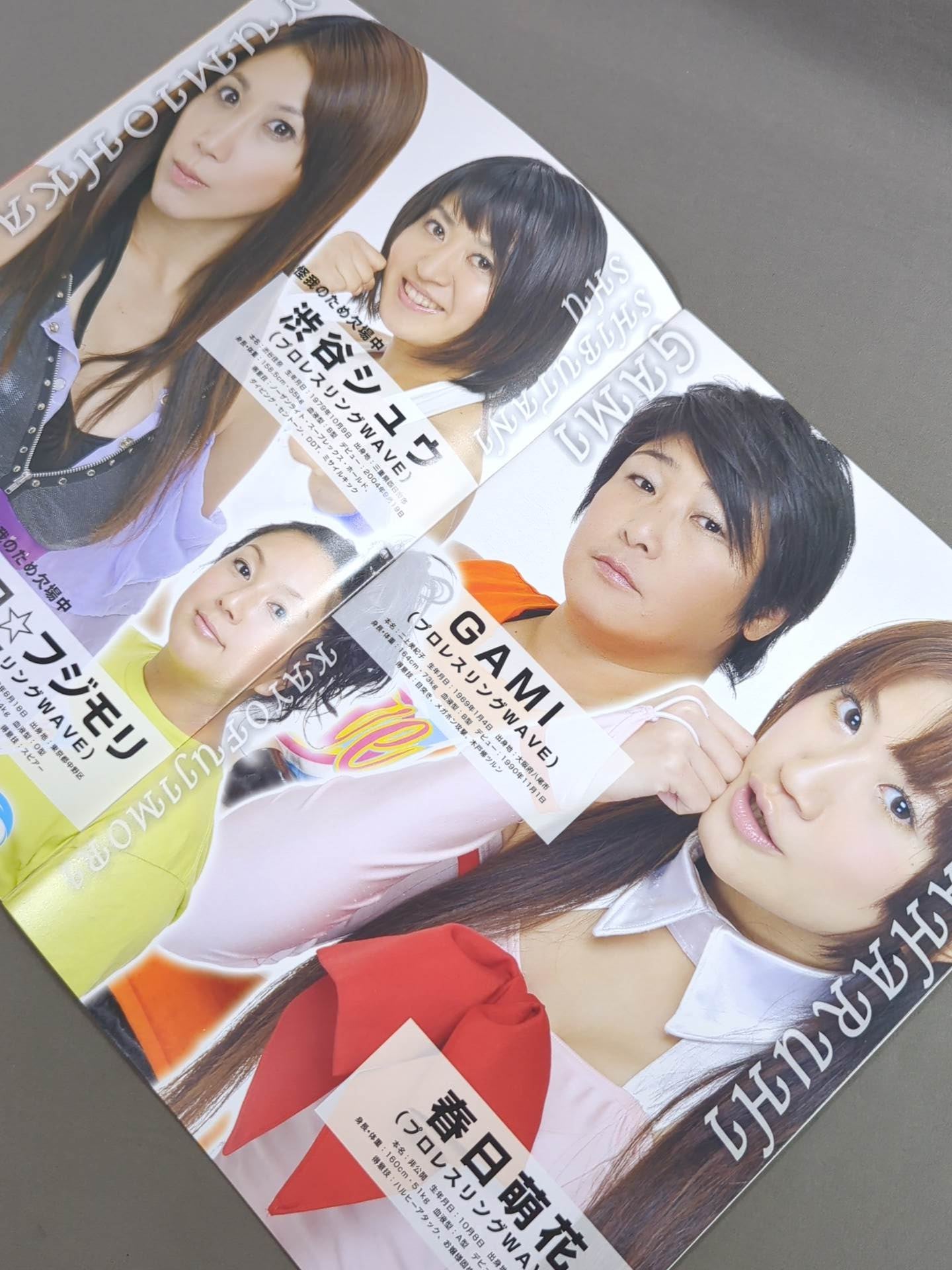 Pro-wrestling  WAVE Official Brochure vol.41