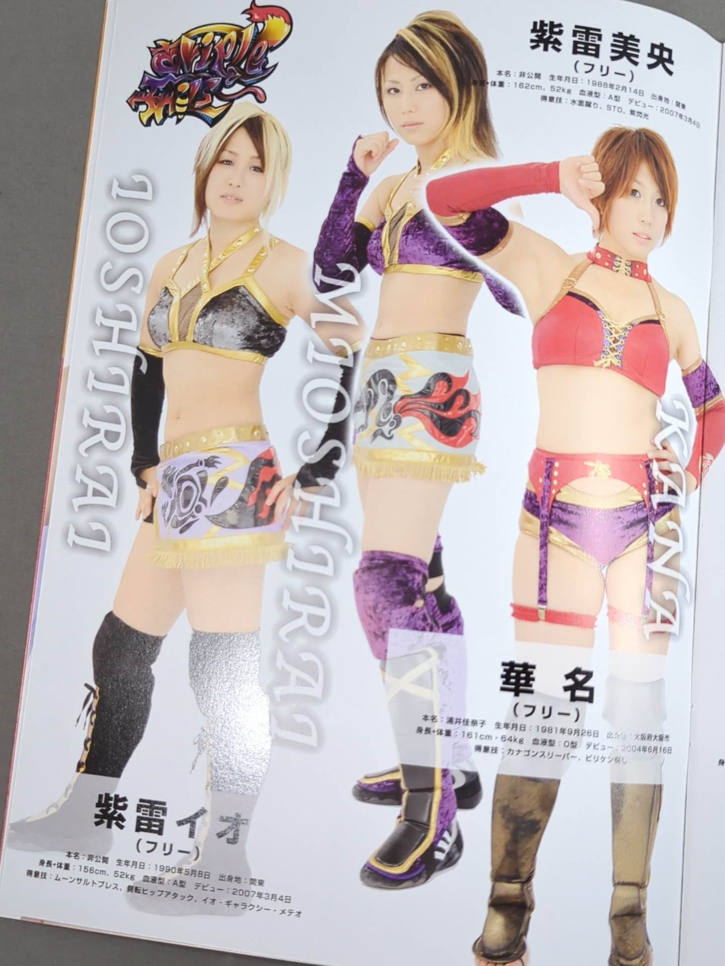 Pro-wrestling  WAVE Official Brochure vol.41