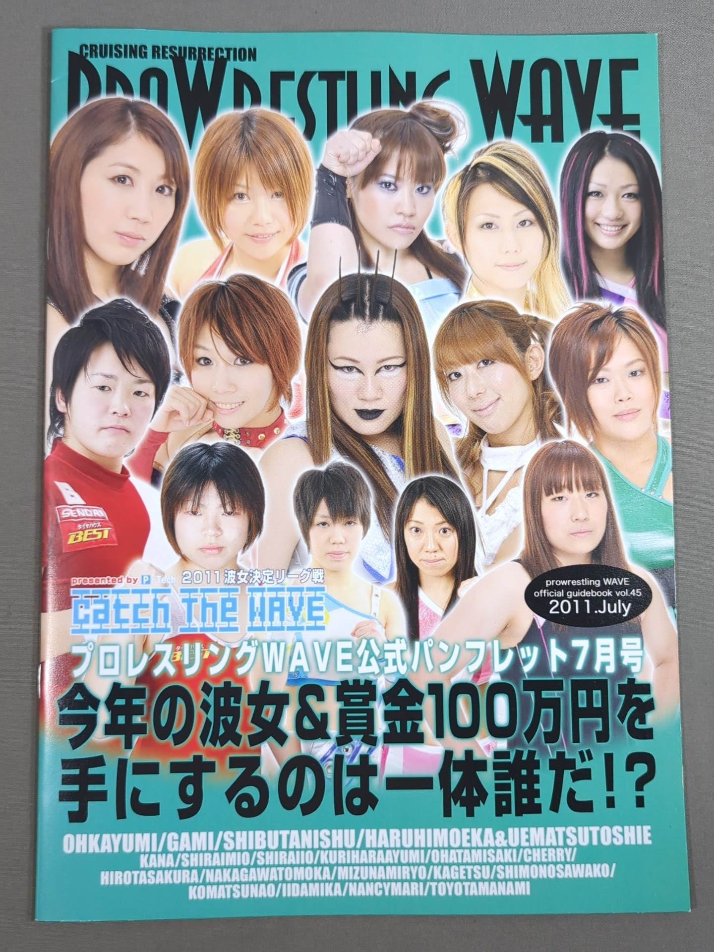 Pro-wrestling  WAVE Official Pamphlet vol.45