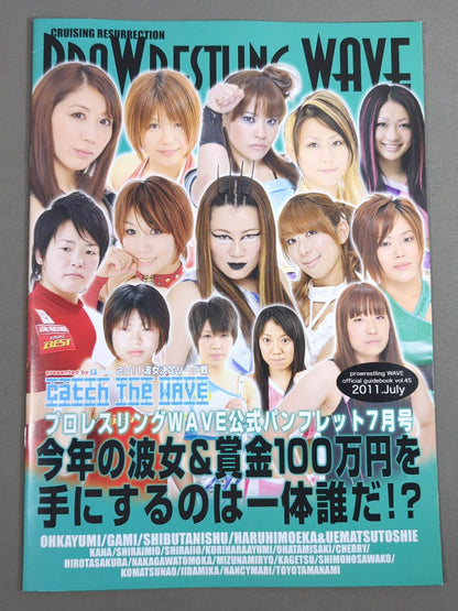Pro-wrestling  WAVE Official Pamphlet vol.45