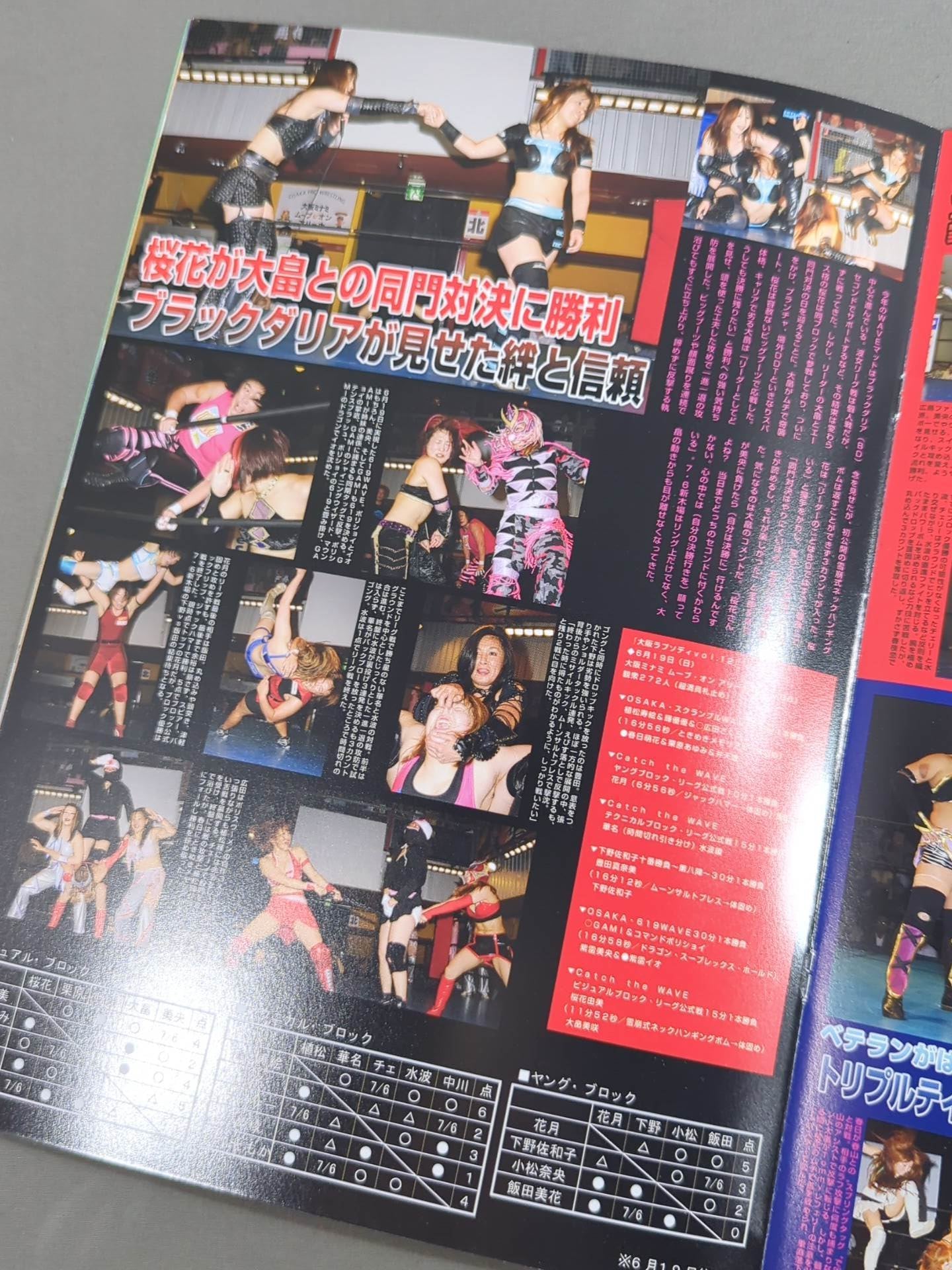 Pro-wrestling  WAVE Official Pamphlet vol.45