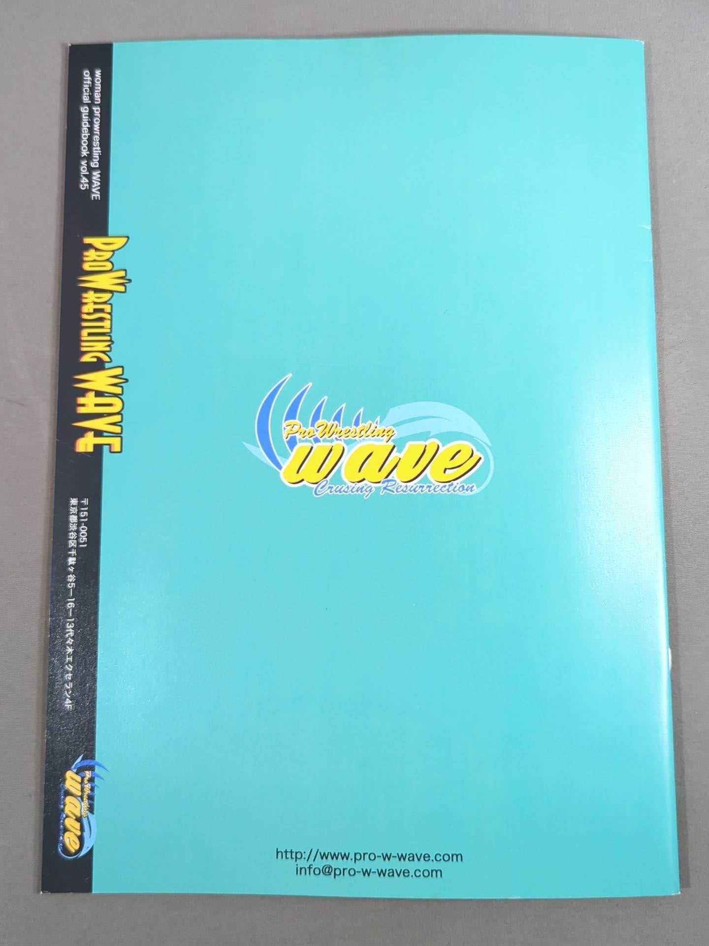 Pro-wrestling  WAVE Official Pamphlet vol.45