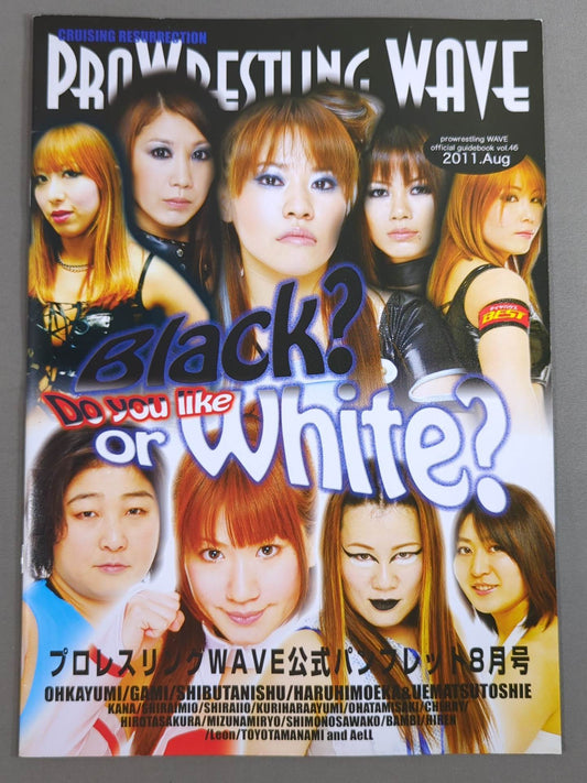 Pro-wrestling  WAVE Official Brochure vol.46