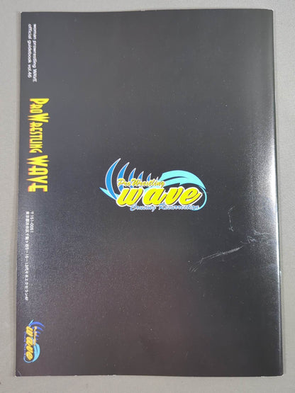 Pro-wrestling  WAVE Official Brochure vol.46