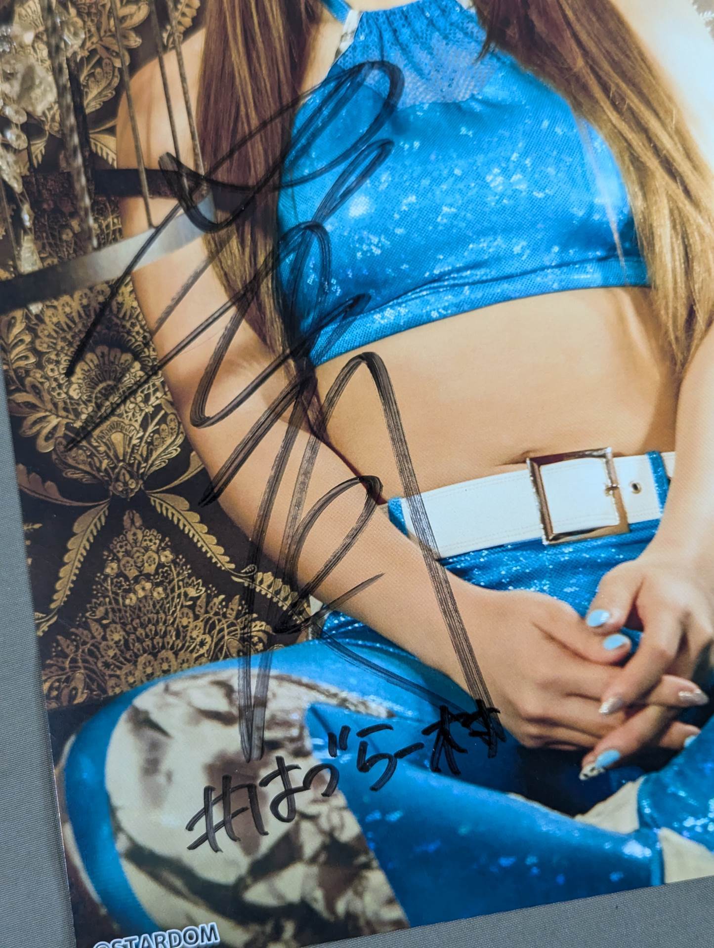 スターダム ☆ ガイドブック 直筆サイン ☆ STARDOM ☆ 女子プロレス スターダム ☆ ガイドブック 直筆サイン ☆ STARDOM ☆ 女子プロレス