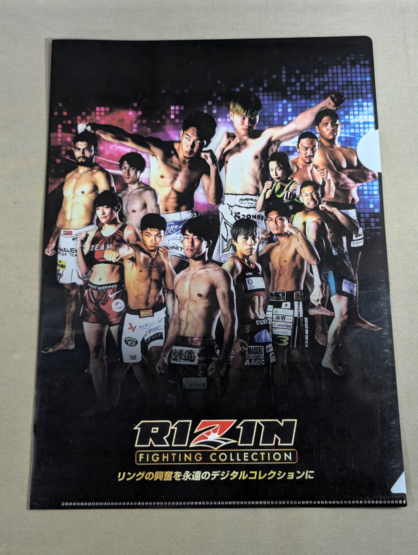 RIZIN plastic file folder set