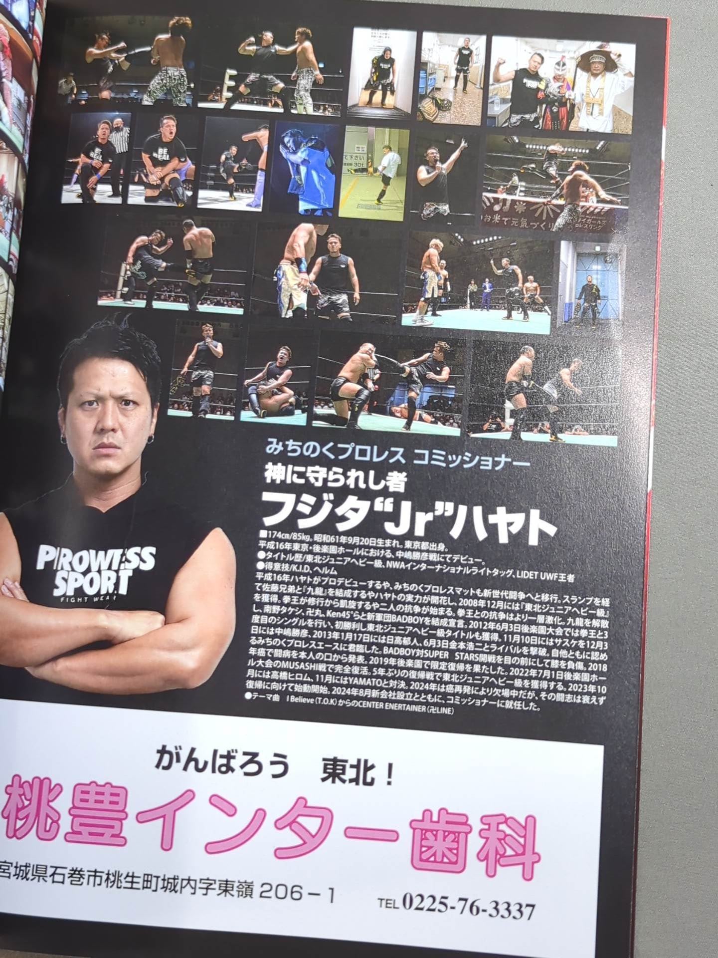 Michinoku Pro Wrestling  Official Brochure Vol.173