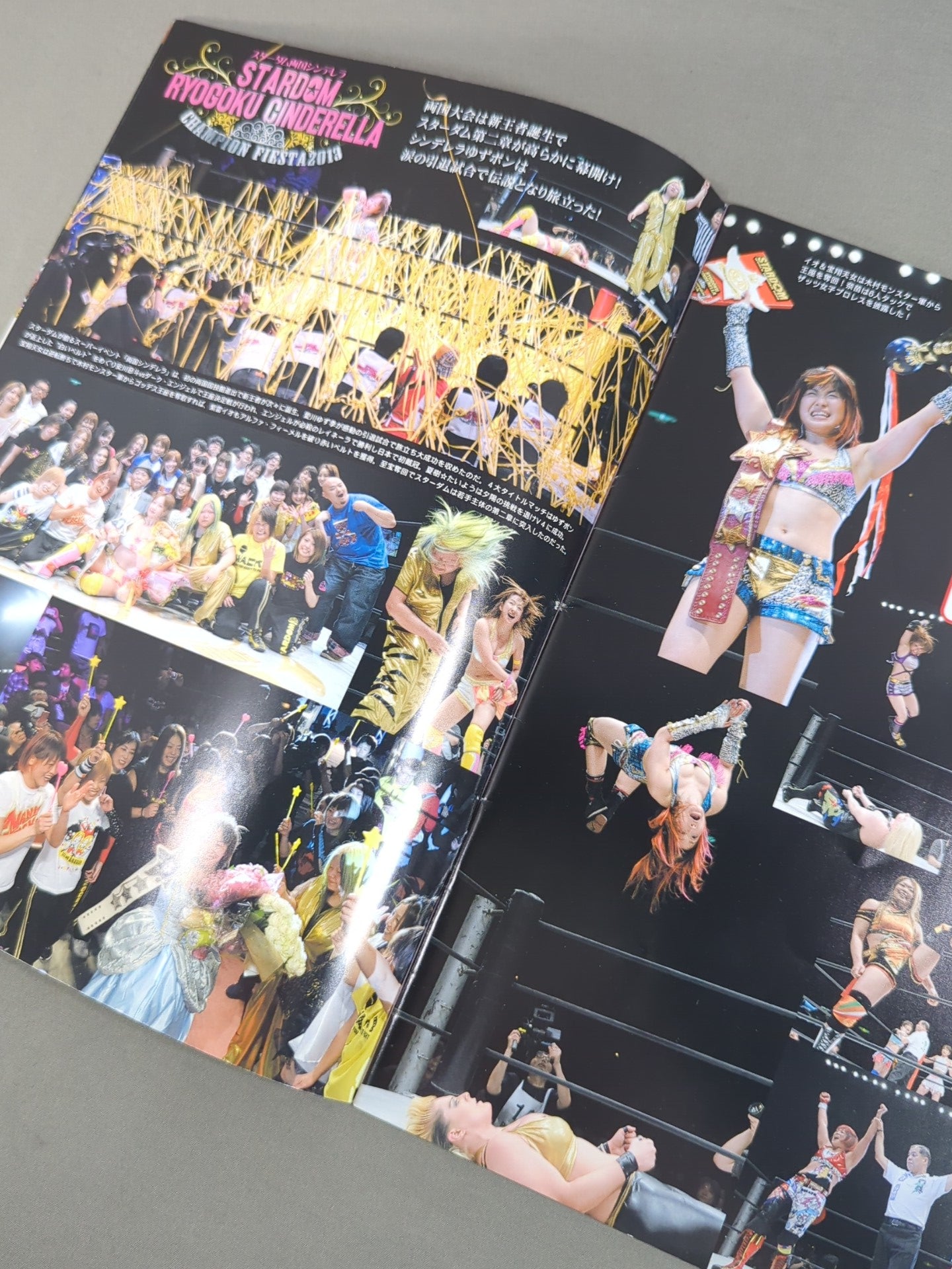 STARDOM OFFICIAL GUIDE BOOK Vol.32