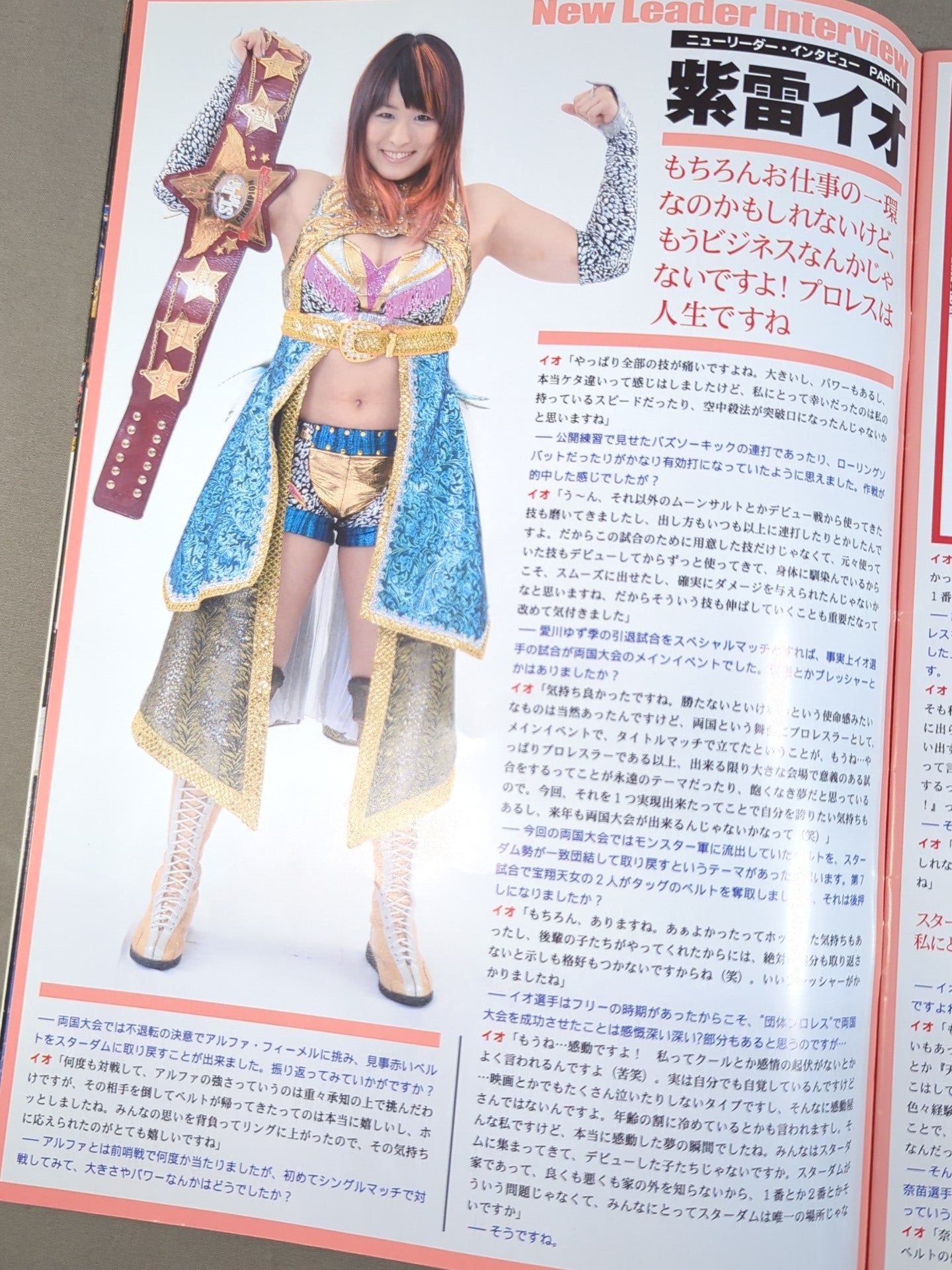 STARDOM OFFICIAL GUIDE BOOK Vol.32