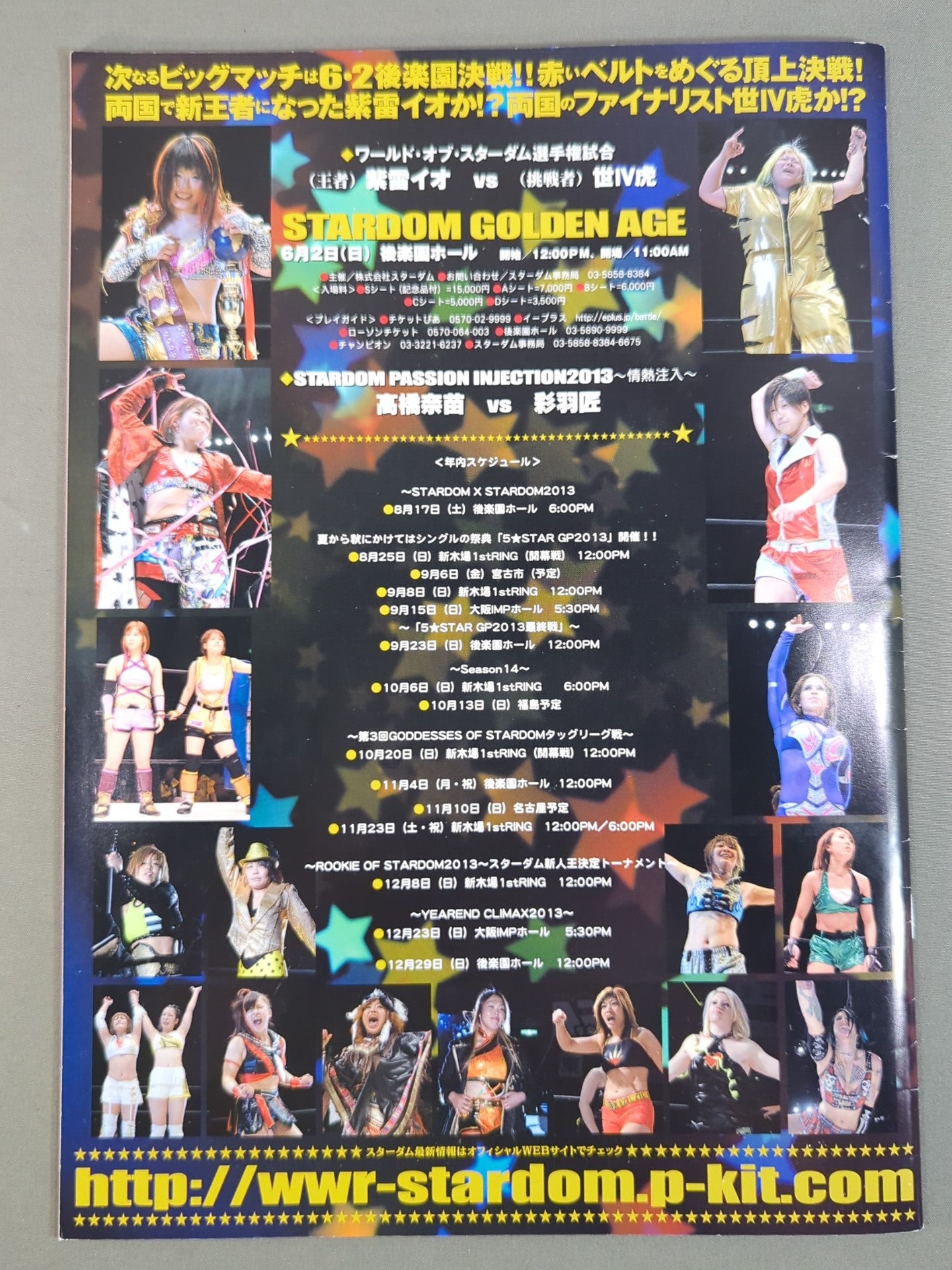 STARDOM OFFICIAL GUIDE BOOK Vol.32