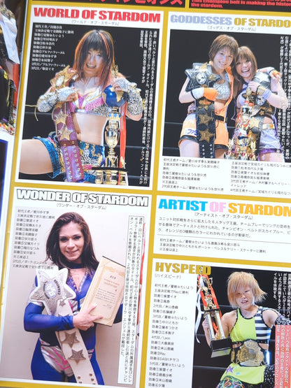 STARDOM OFFICIAL GUIDE BOOK Vol.32