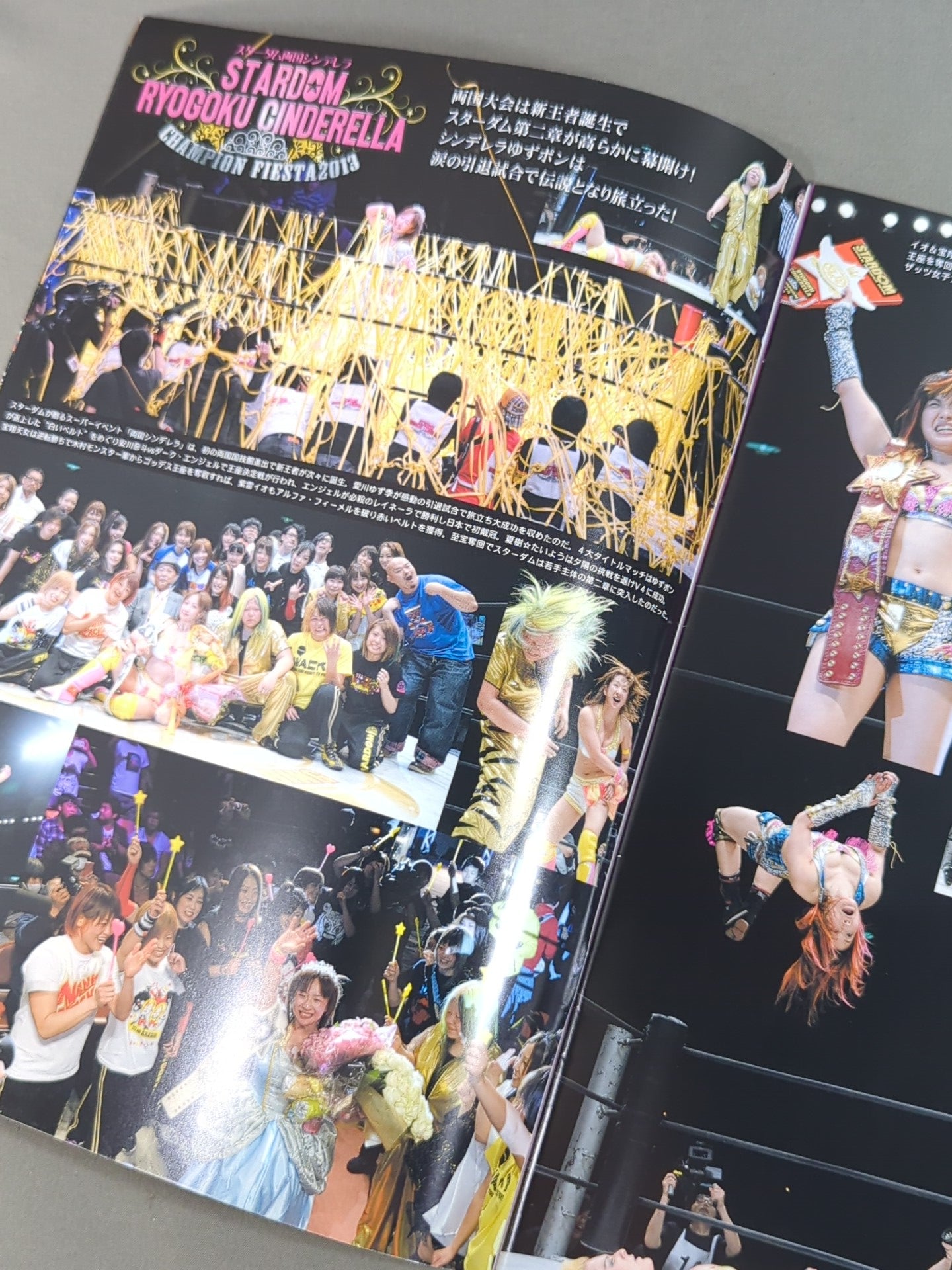 STARDOM OFFICIAL GUIDE BOOK Vol.32