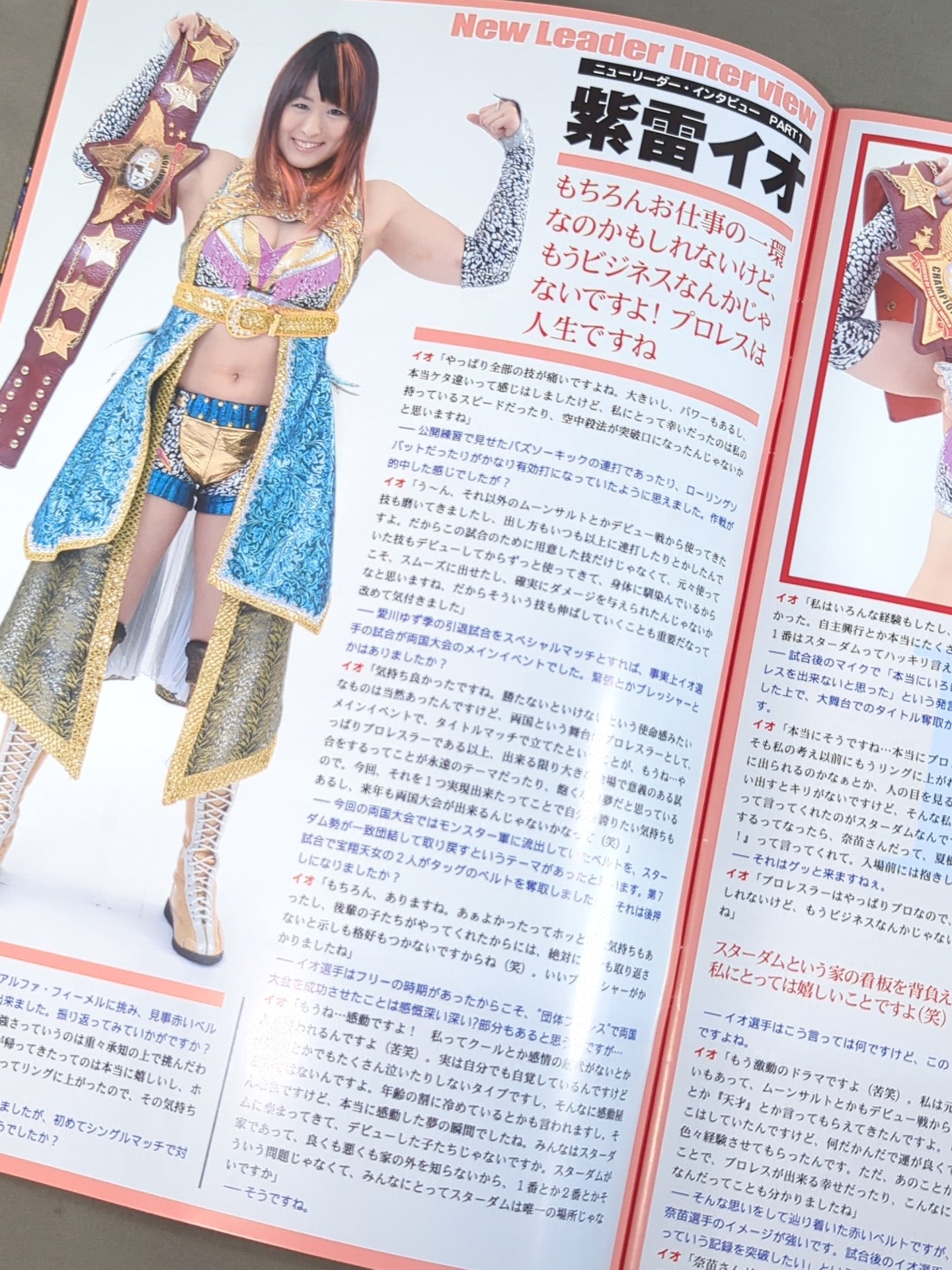 STARDOM OFFICIAL GUIDE BOOK Vol.32