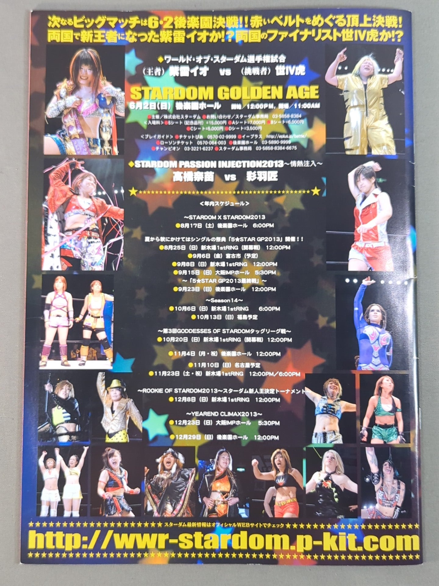 STARDOM OFFICIAL GUIDE BOOK Vol.32