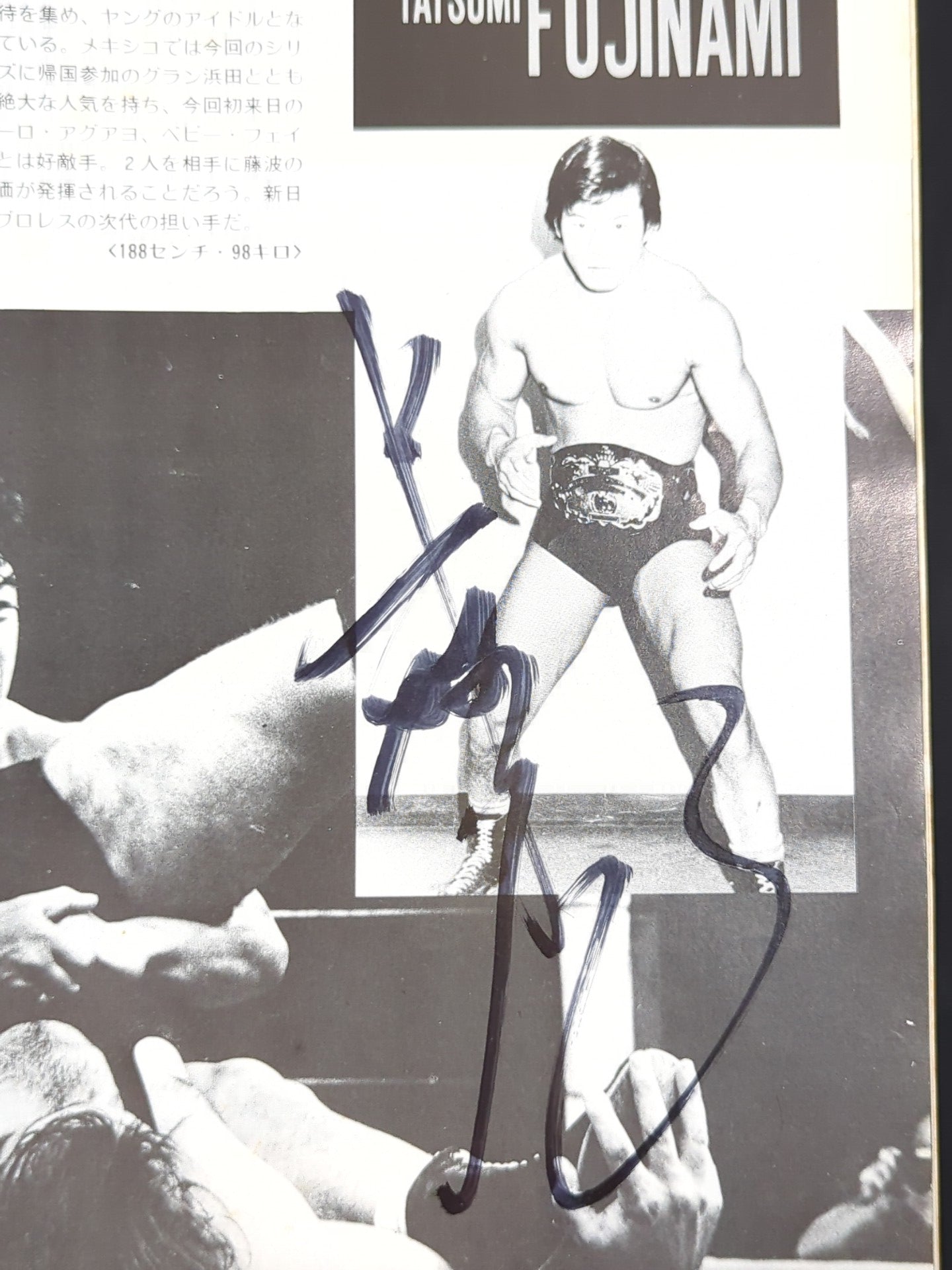 新日本プロレス 81WWFビッグ・ファイト・シリーズパンフ●サイン入り 11名直筆サイン入り】79ビッグファイトシリーズ – 闘道館