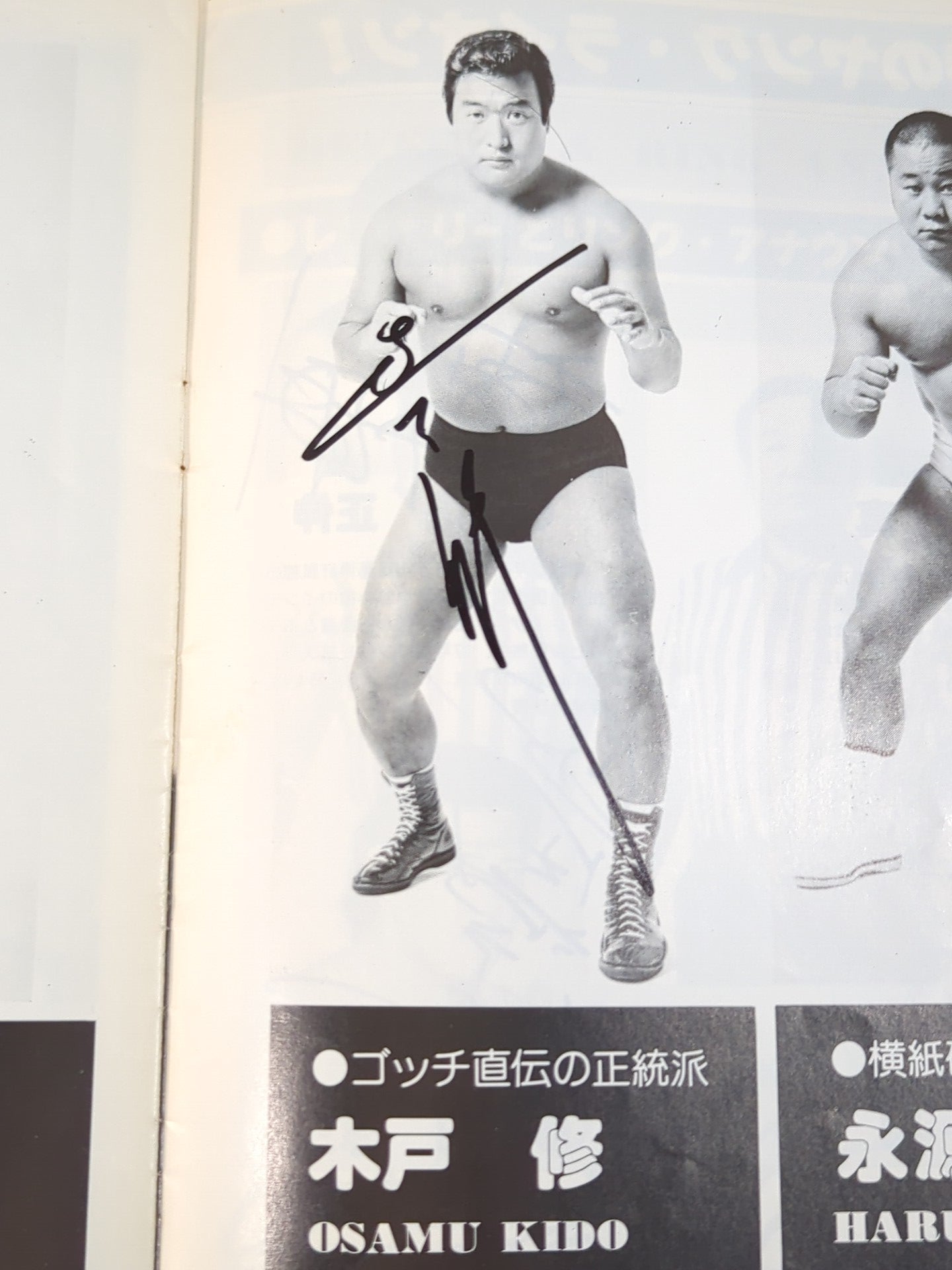 新日本プロレス 81WWFビッグ・ファイト・シリーズパンフ●サイン入り 11名直筆サイン入り】79ビッグファイトシリーズ – 闘道館
