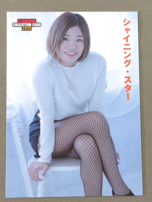 2019 STARDOM COLLECTION CARD Arisa Hoshiki (10)