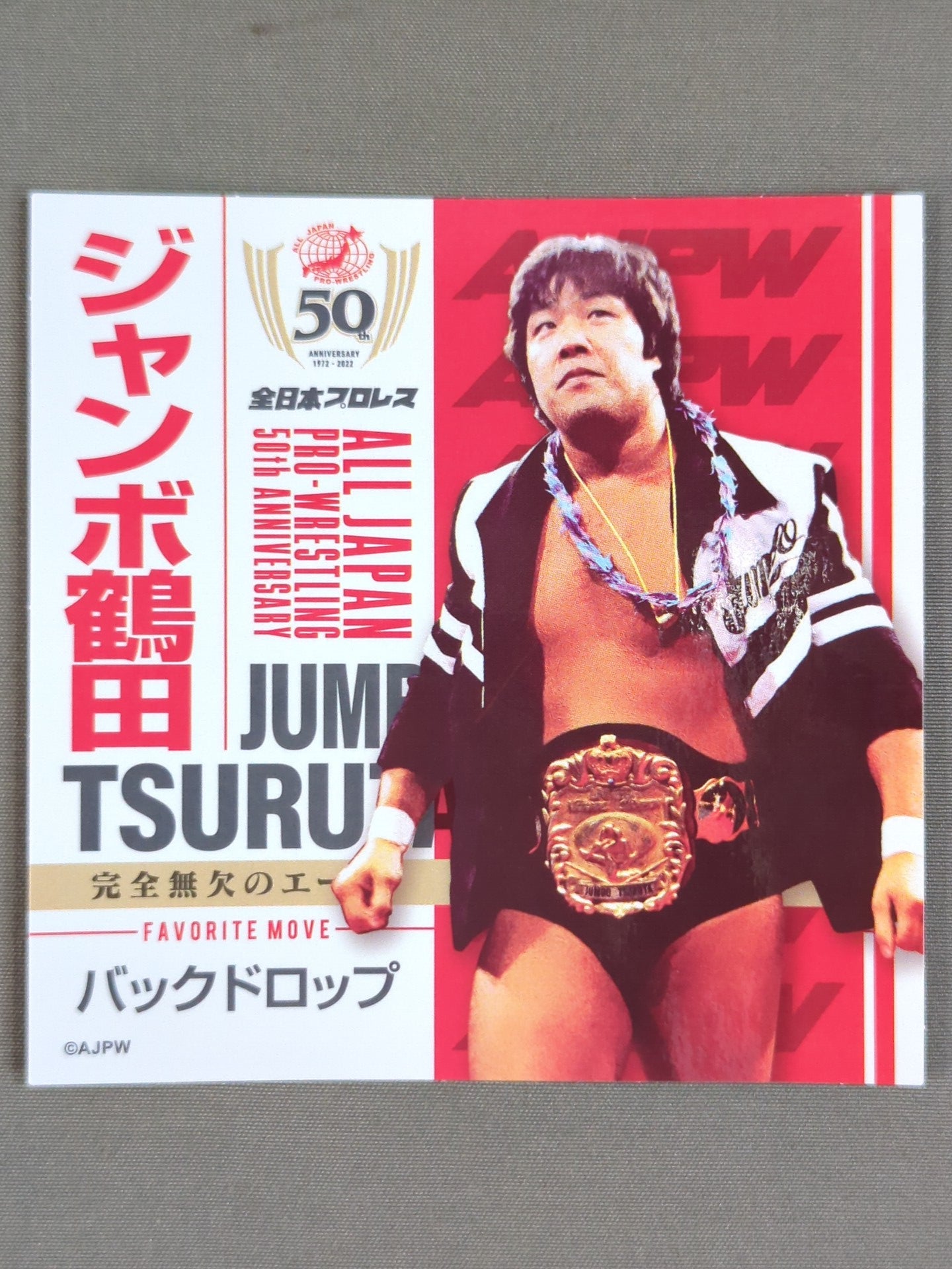Jumbo Tsuruta All Japan Pro Wrestling 50th Anniversary Plastic File Folder  & Sticker Set