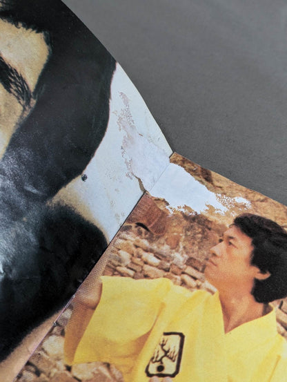REVISTA BRUCE LEE No.503