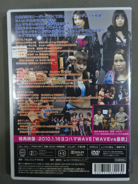 Pro-wrestling  WAVE Maniacs 5 / 2010.12.5-2011.1.20