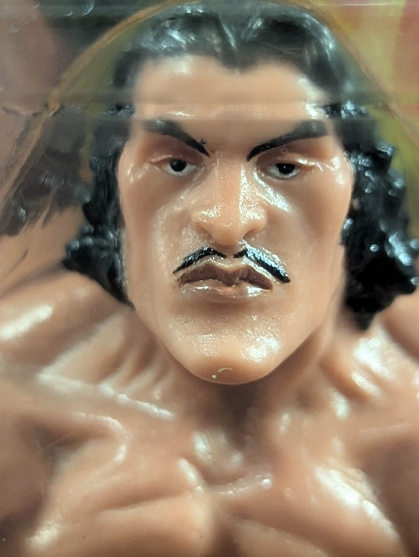 ジャイアント・シン＆ジャイアント・シルバ  (The Great Khali  )