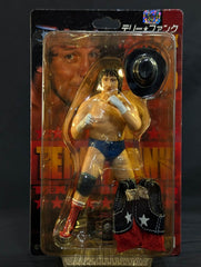 テリー・ファンク(黒帽子) – 闘道館