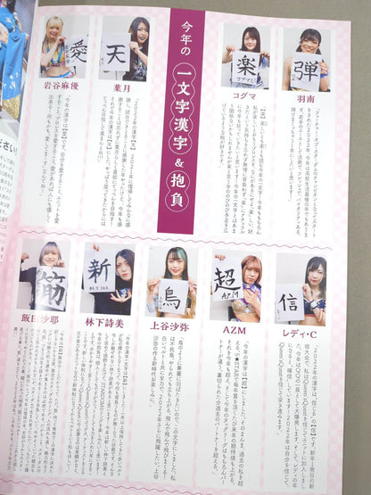 STARDOM OFFICIAL GUIDE BOOK Vol.140