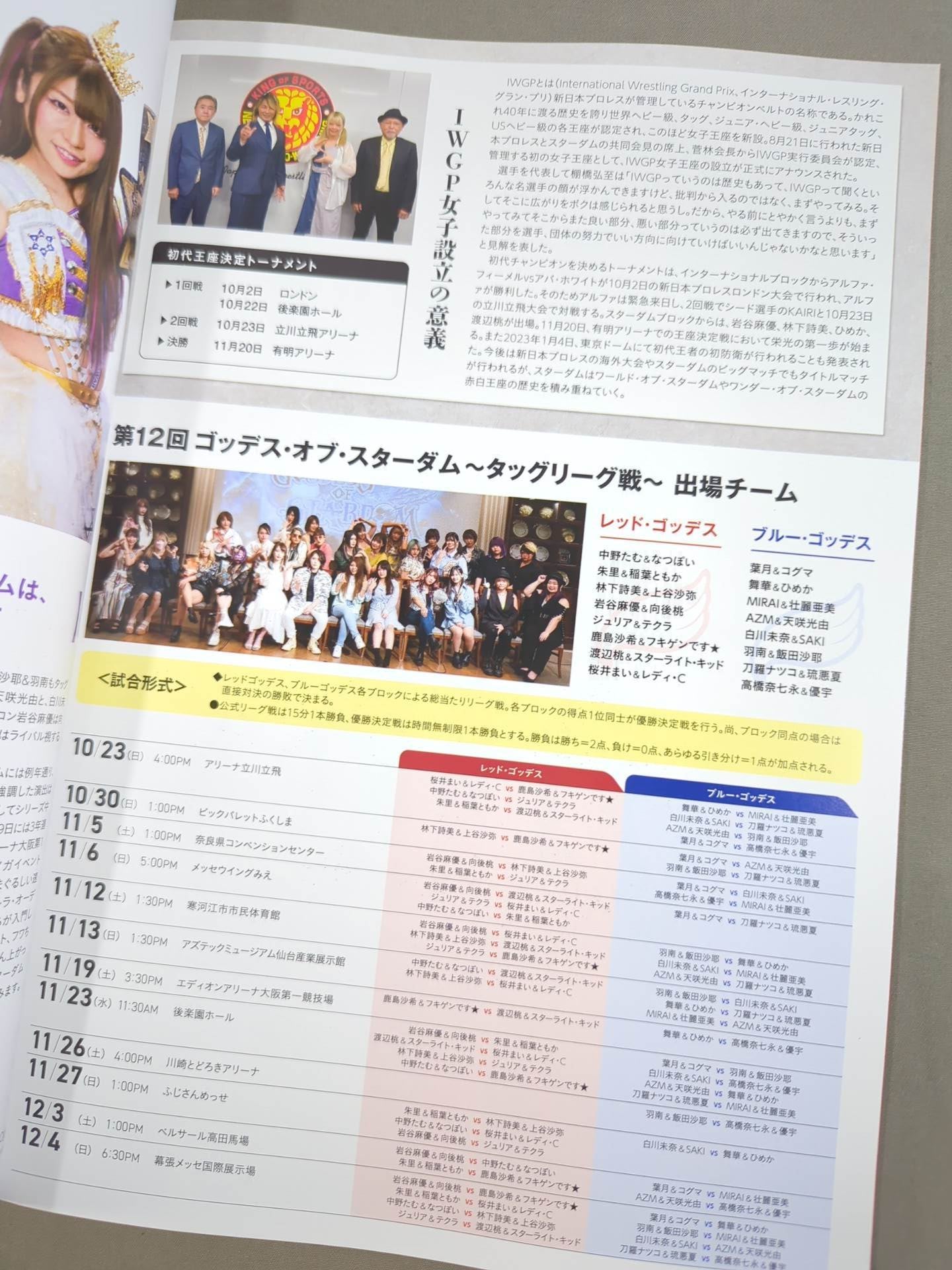 STARDOM OFFICIAL GUIDE BOOK Vol.144