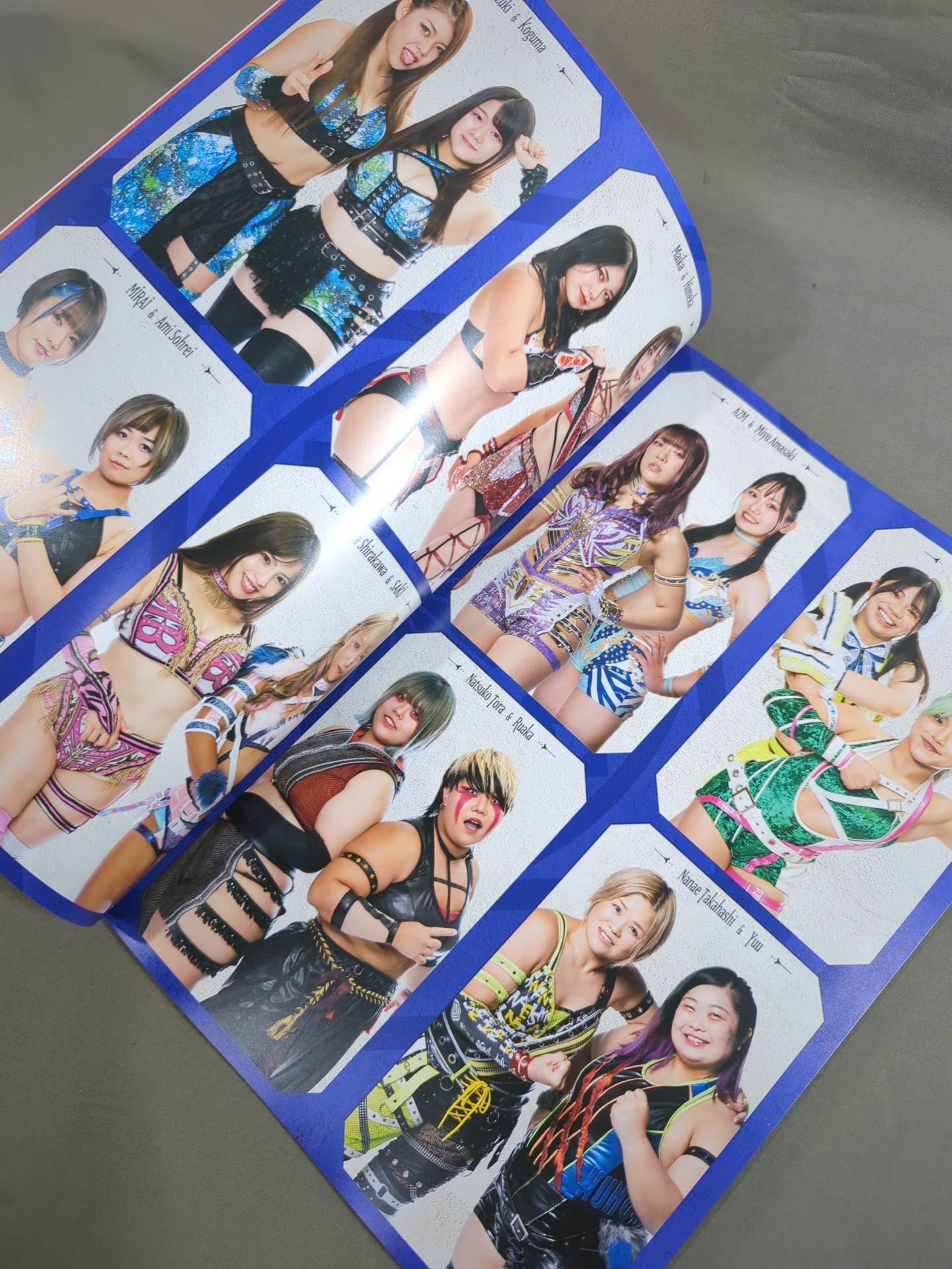 STARDOM OFFICIAL GUIDE BOOK Vol.144