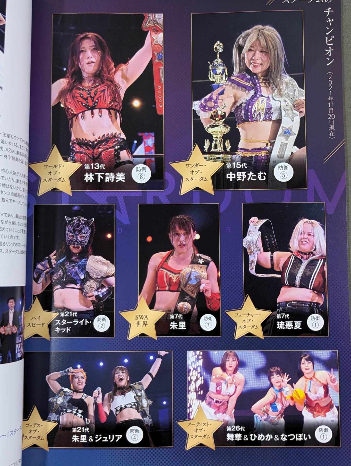 STARDOM OFFICIAL GUIDE BOOK Vol.139