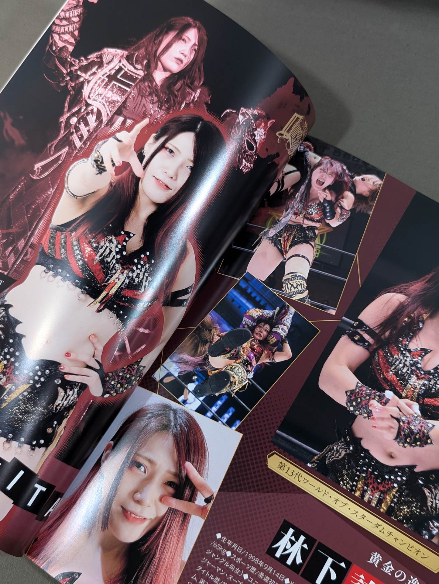 STARDOM OFFICIAL GUIDE BOOK Vol.139