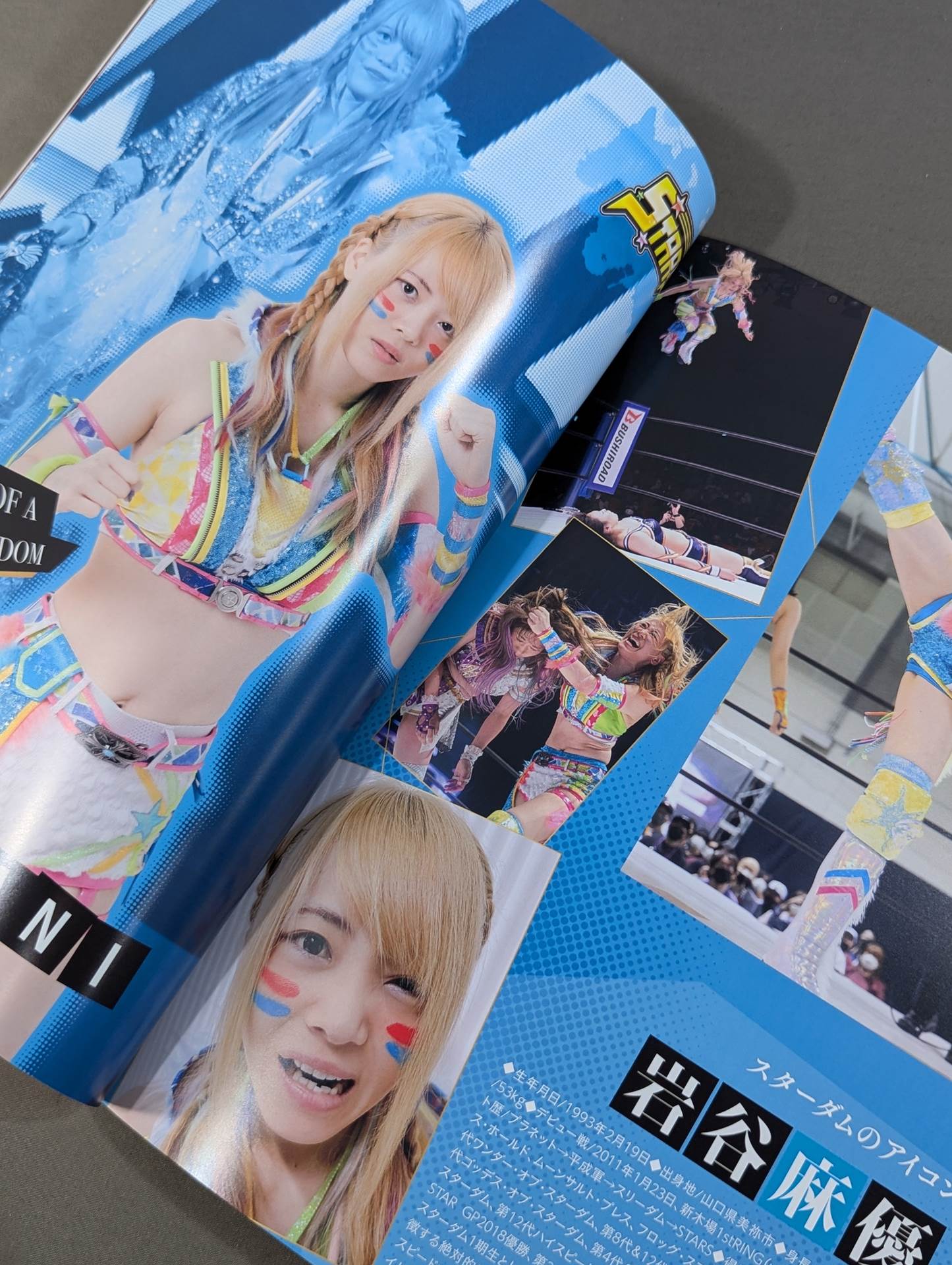 STARDOM OFFICIAL GUIDE BOOK Vol.139