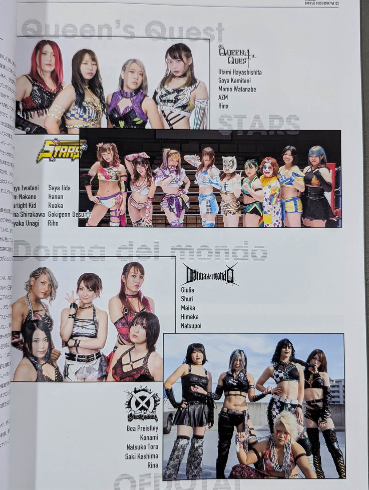 STARDOM OFFICIAL GUIDE BOOK Vol.133