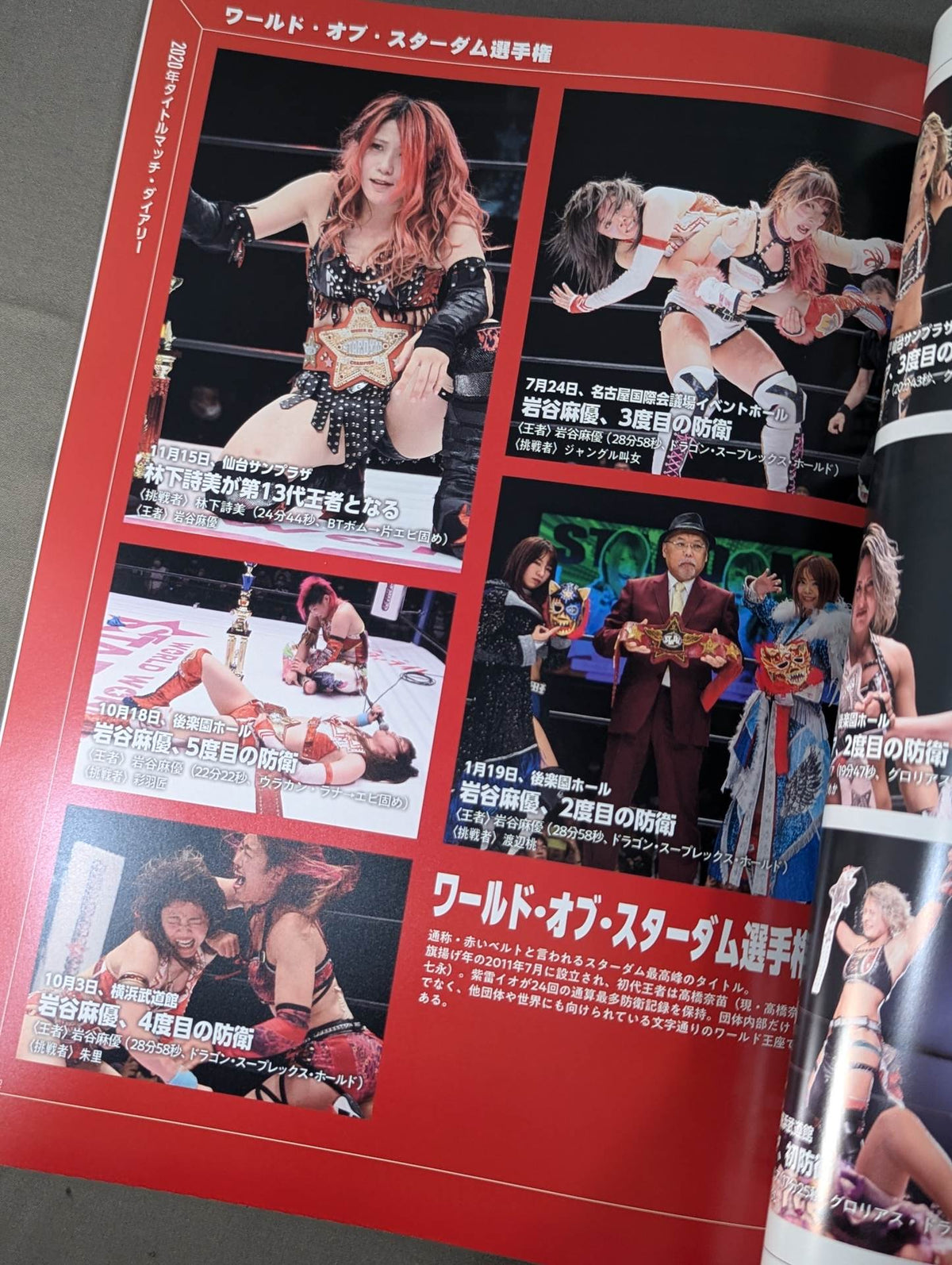 STARDOM OFFICIAL GUIDE BOOK Vol.133