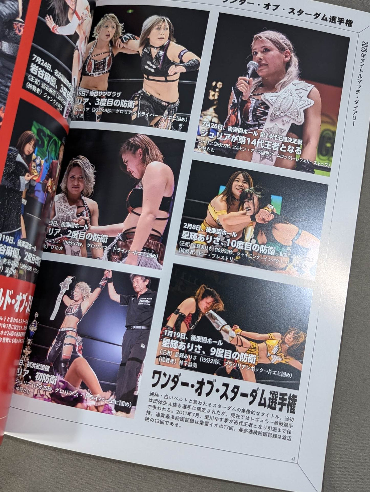 STARDOM OFFICIAL GUIDE BOOK Vol.133