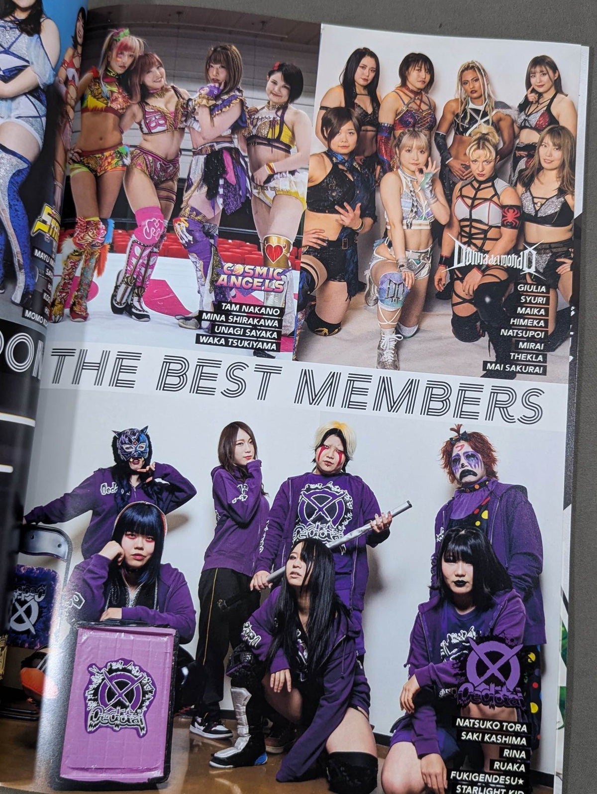STARDOM OFFICIAL GUIDE BOOK Vol.141