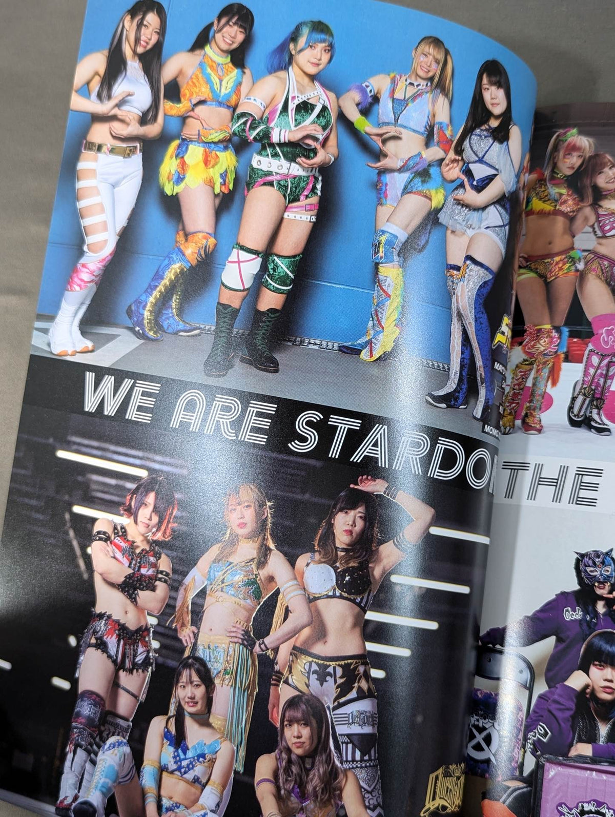 STARDOM OFFICIAL GUIDE BOOK Vol.141