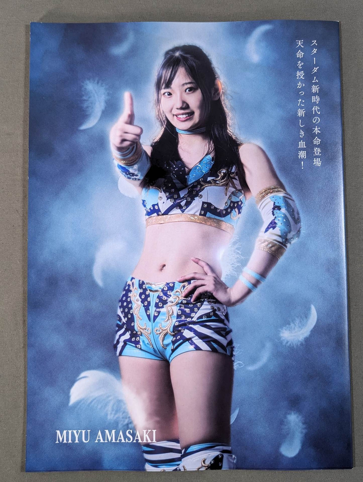 STARDOM OFFICIAL GUIDE BOOK Vol.141