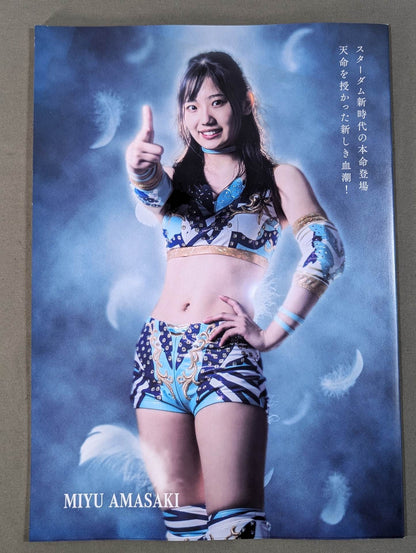 STARDOM OFFICIAL GUIDE BOOK Vol.141