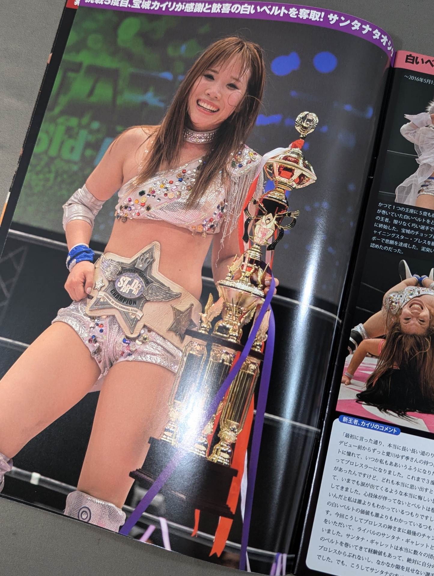 スターダム ☆ ガイドブック 直筆サイン入り ☆ 紫雷イオ 岩谷麻優 宝城カイリ スターダム ☆ ガイドブック 直筆サイン ☆ STARDOM ☆ 女子
