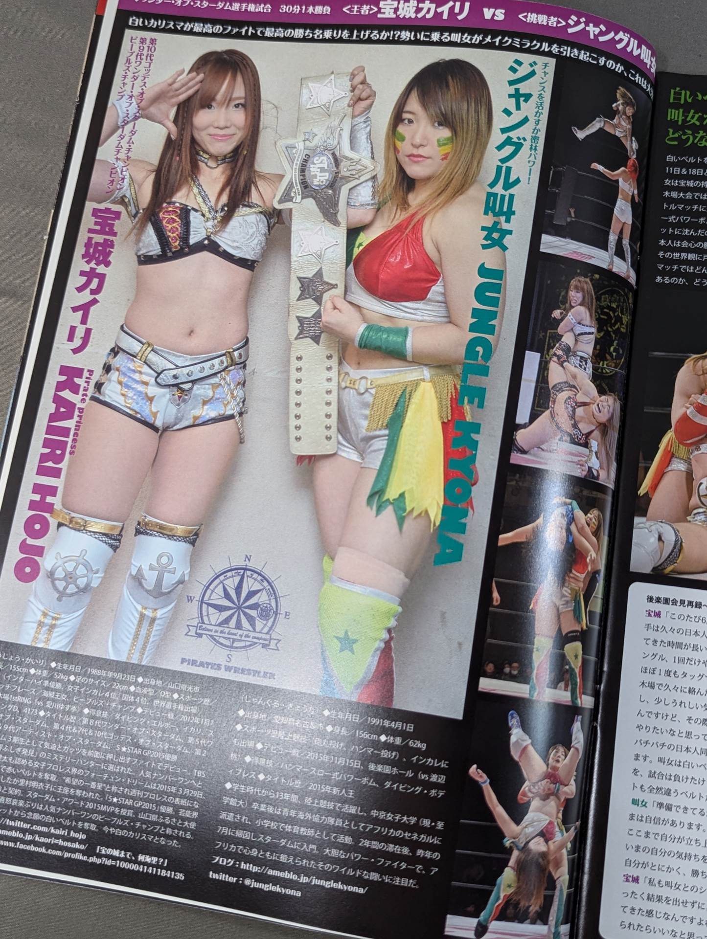 STARDOM OFFICIAL GUIDE BOOK Vol.88 – 闘道館