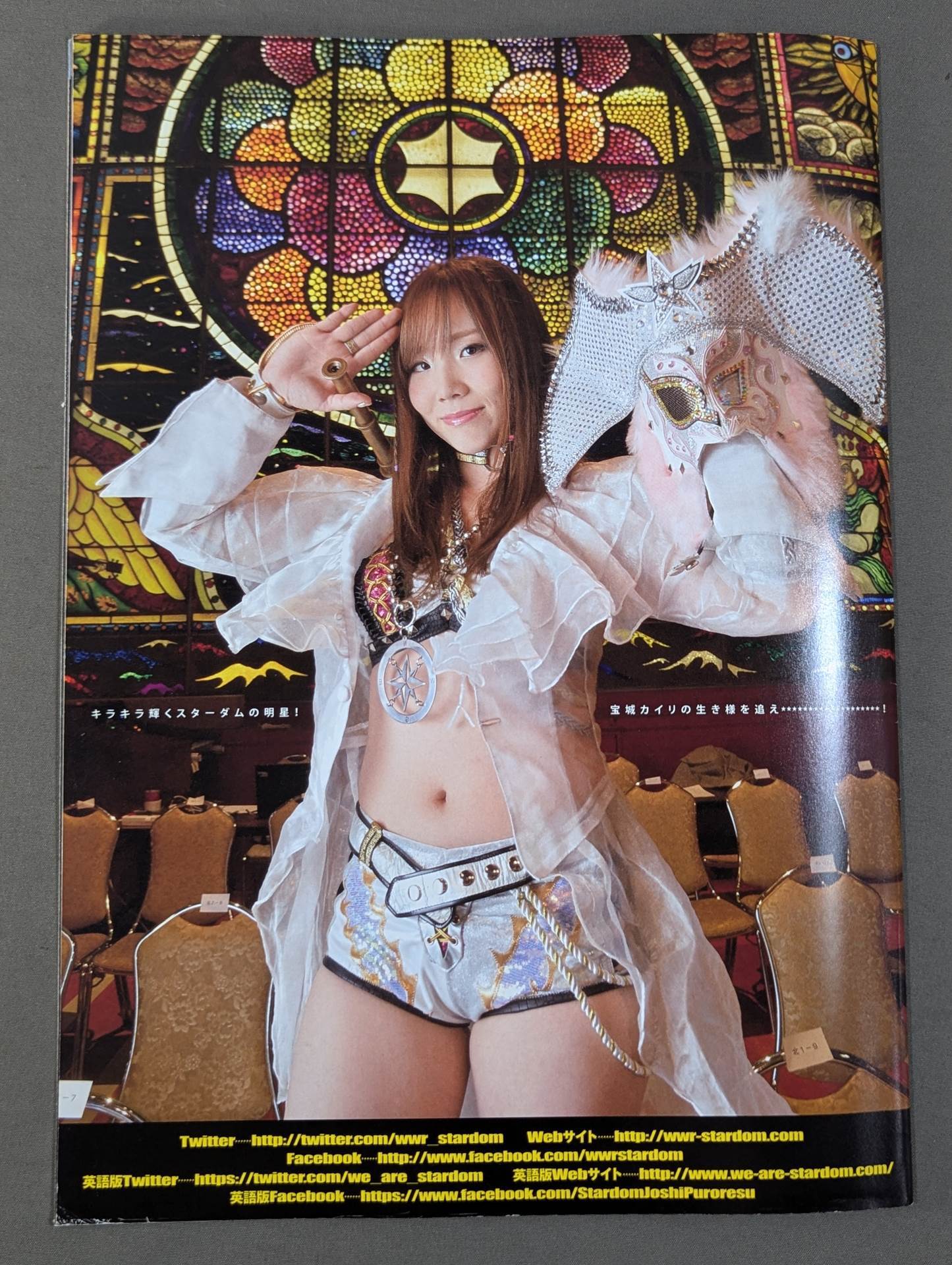 STARDOM OFFICIAL GUIDE BOOK Vol.88 – 闘道館