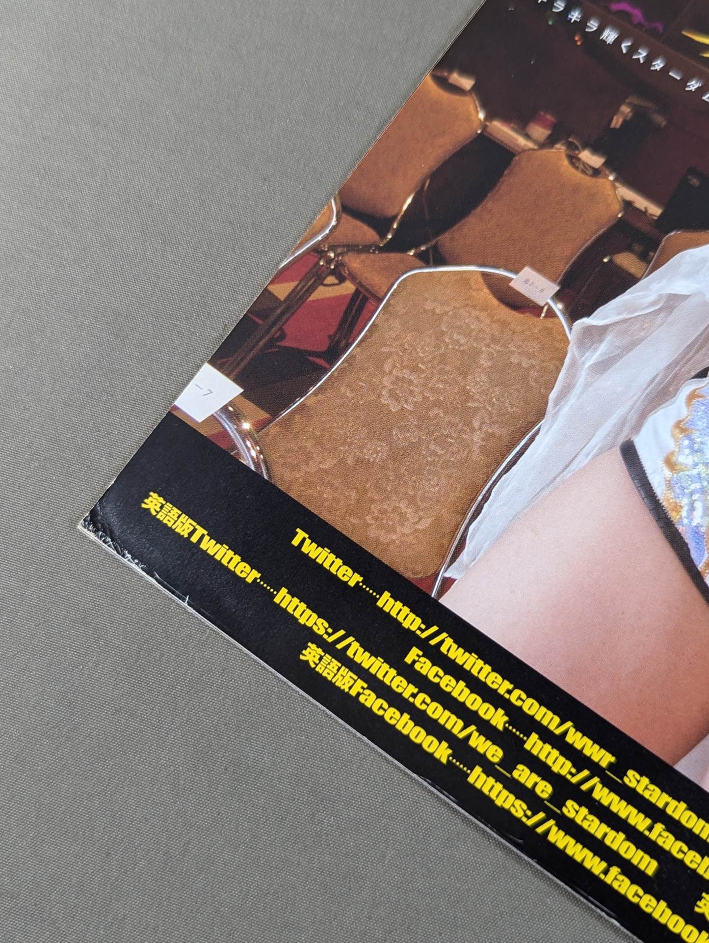 STARDOM OFFICIAL GUIDE BOOK Vol.88 – 闘道館
