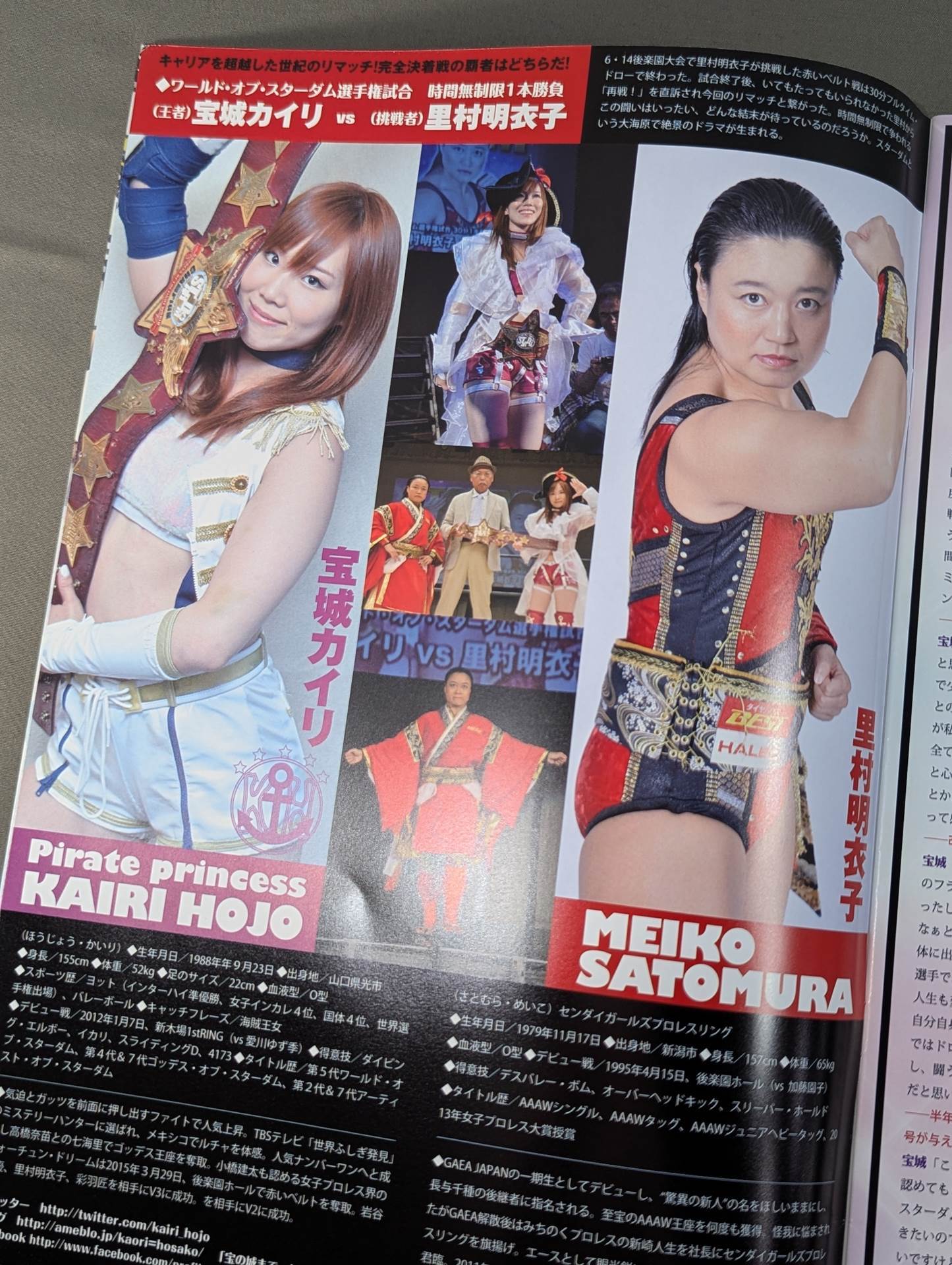 ☆紫雷姉妹ラストタッグ☆ STARDOM OFFICIAL GUIDE BOOK Vol.64 – 闘道館