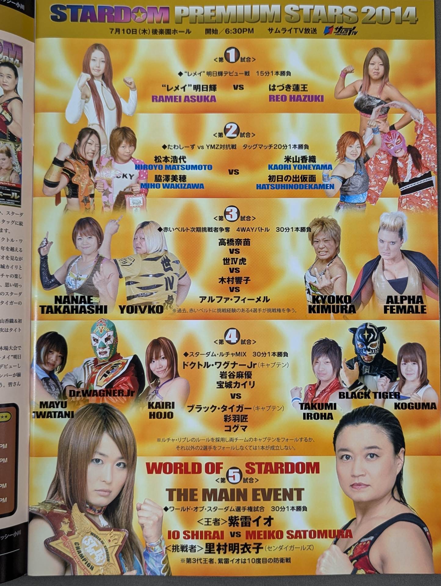 STARDOM OFFICIAL GUIDE BOOK Vol.48