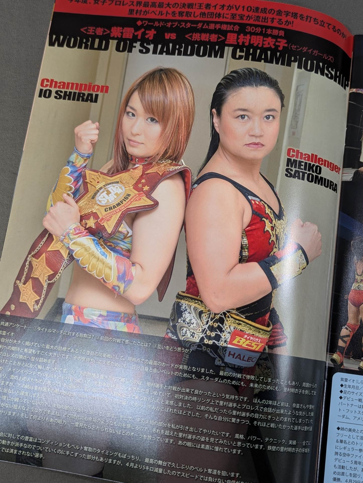 スターダム ☆ フォトブック / STARDOM WORlD Vol.4 スターダム ☆ フォトブック / STARDOM WORlD Vol.4 スターダム