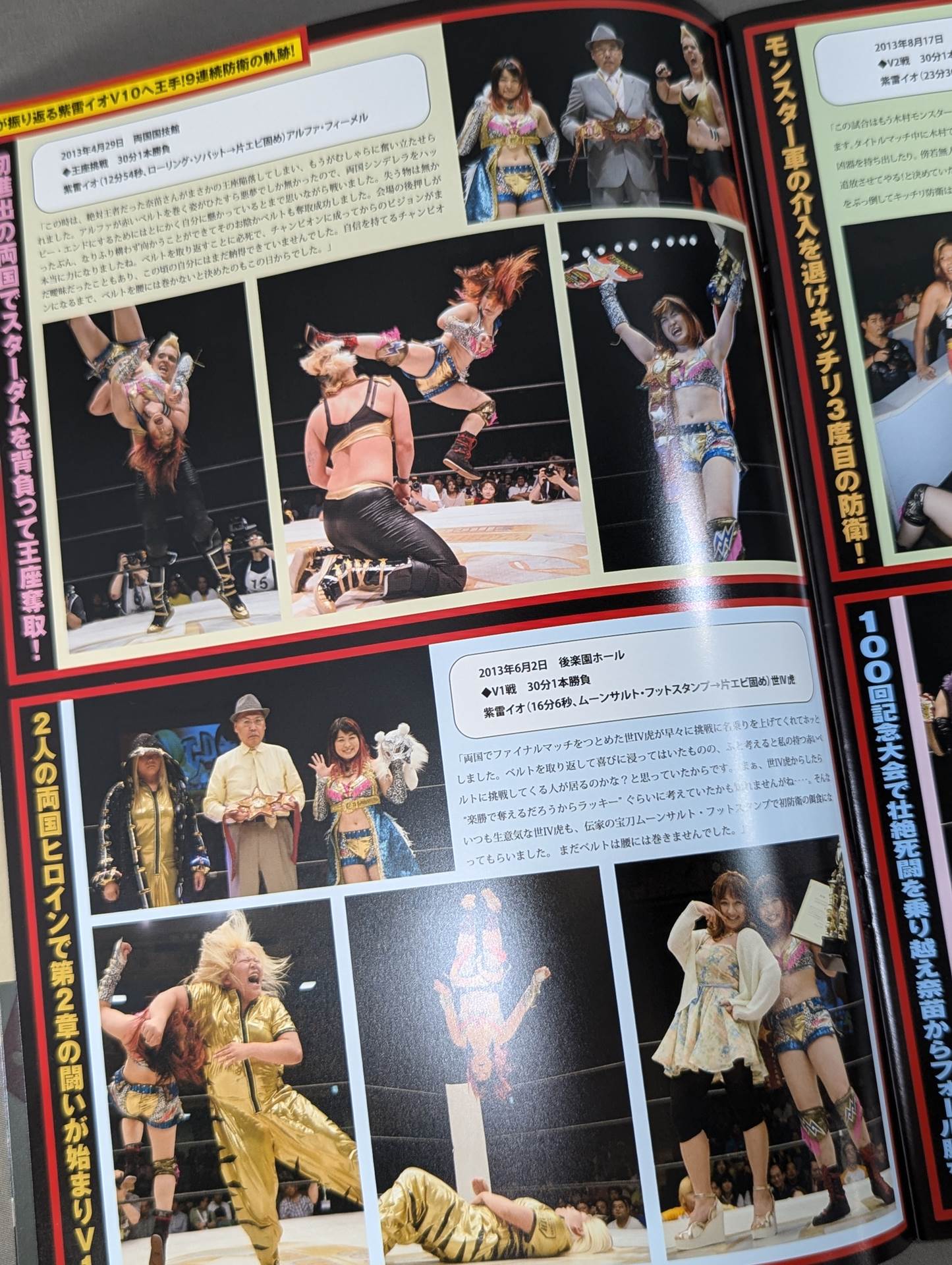 STARDOM OFFICIAL GUIDE BOOK Vol.48