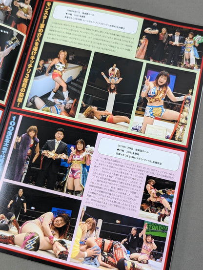 STARDOM OFFICIAL GUIDE BOOK Vol.48
